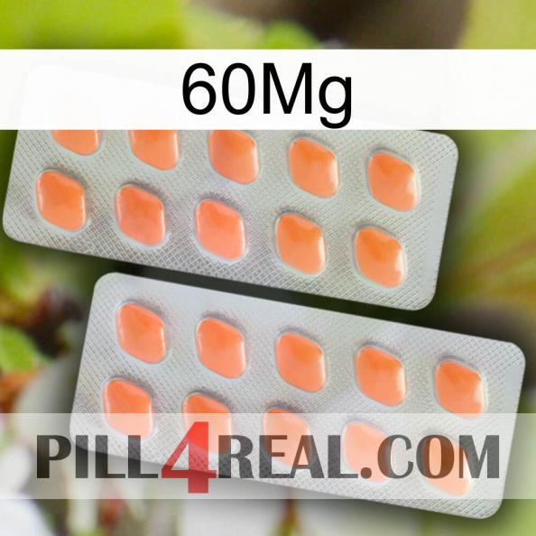 60Mg 27.jpg